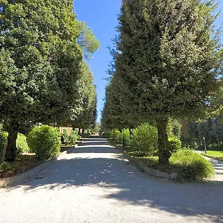 Verdefiore
