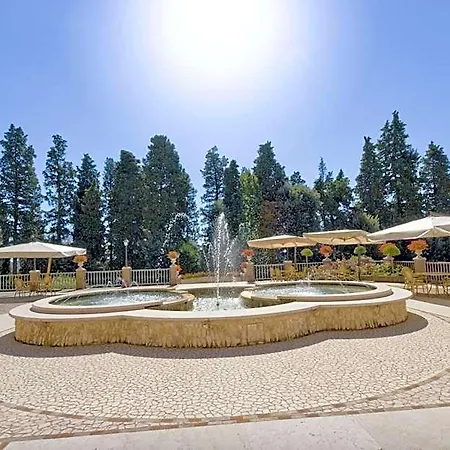 Hotel Verdefiore Appignano (Macerata)